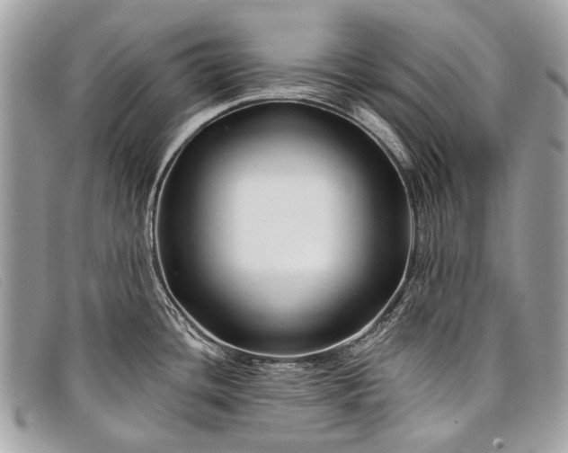 X0000098031436200804111311