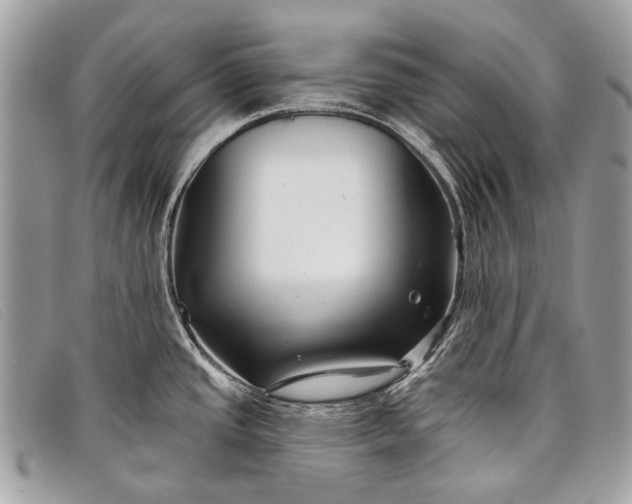 X0000098031437200804111312