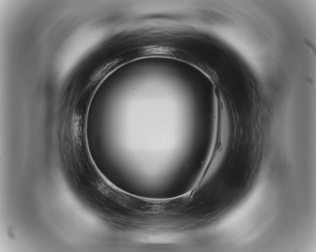 X0000098031438200804111312