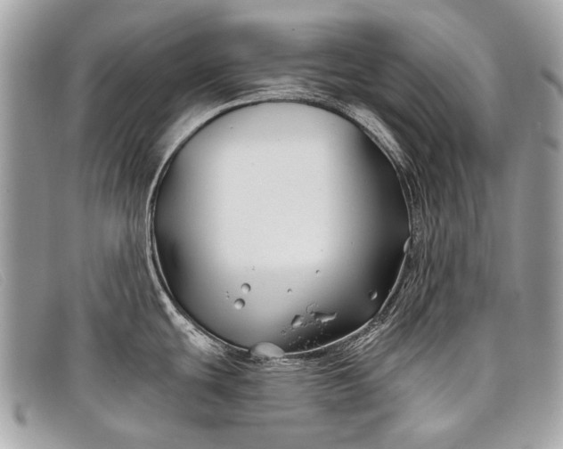 X0000098031439200804111312