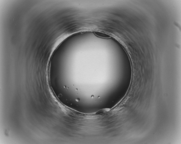 X0000098031440200804111312