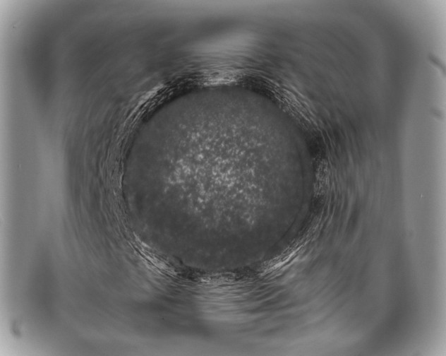 X0000098031441200804111311