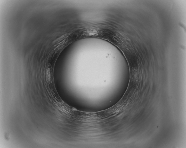 X0000098031442200804111311