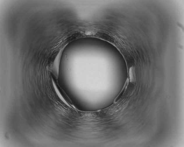 X0000098031443200804111311