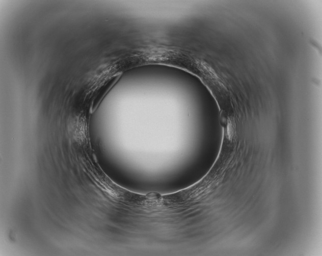 X0000098031444200804111311