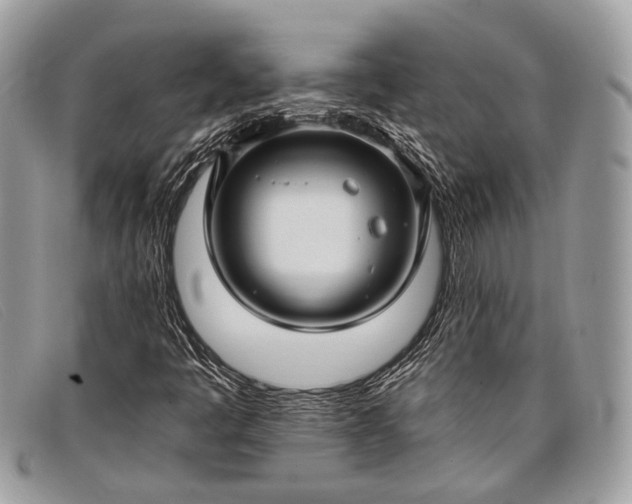 X0000098031445200804111311