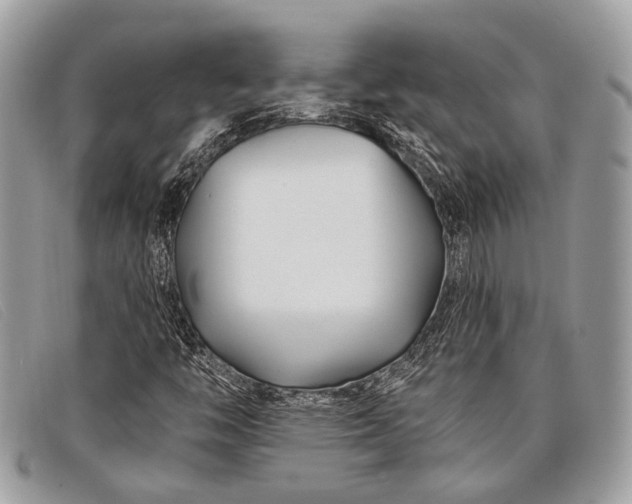 X0000098031446200804111311