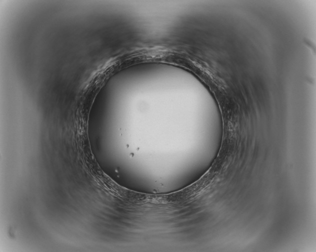 X0000098031447200804111311