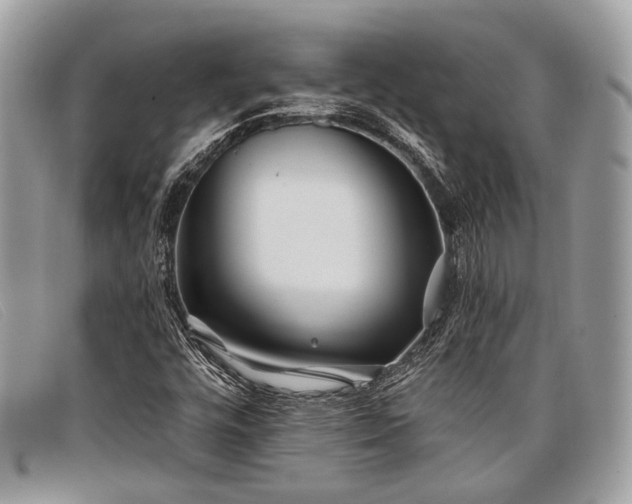 X0000098031448200804111311