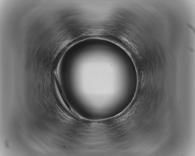 X0000098031449200804111311