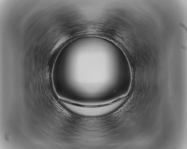 X0000098031450200804111311