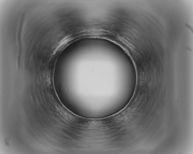 X0000098031451200804111311