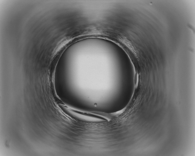 X0000098031452200804111311