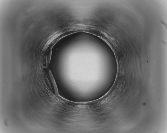 X0000098031453200804111311