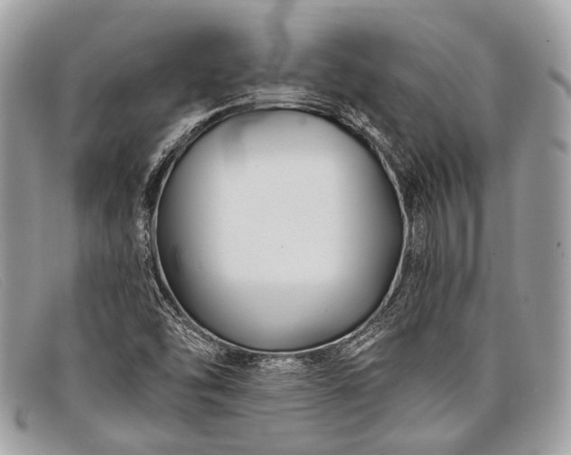 X0000098031454200804111311