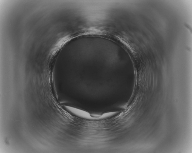 X0000098031455200804111311