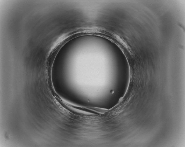 X0000098031456200804111311