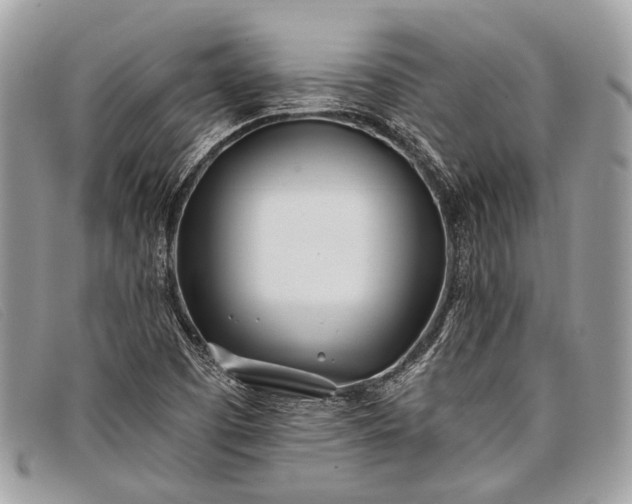 X0000098031457200804111310