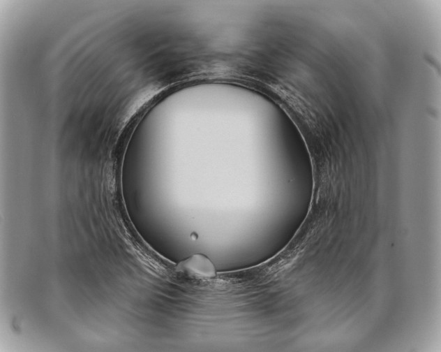 X0000098031458200804111310