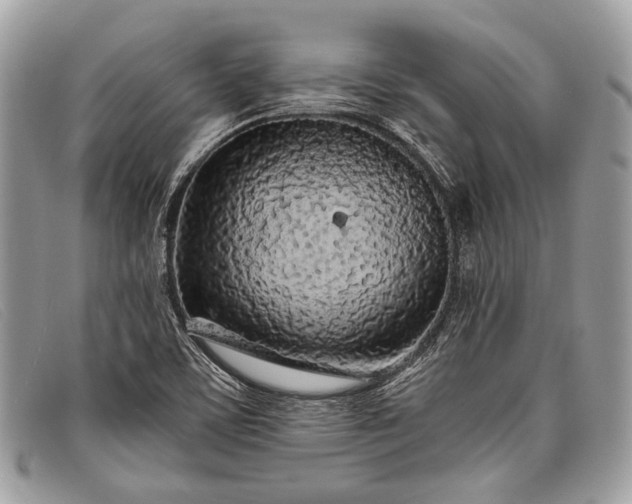 X0000098031459200804111310