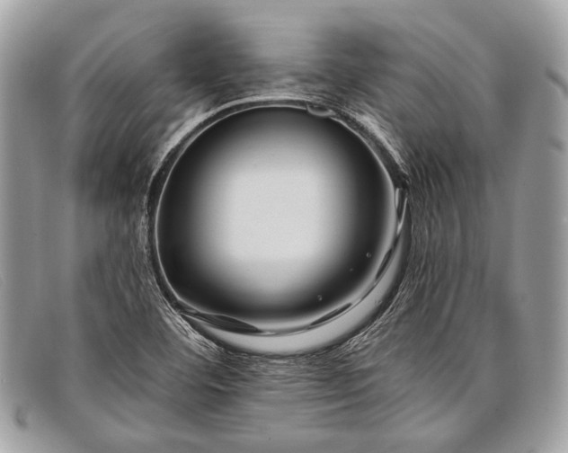 X0000098031460200804111310