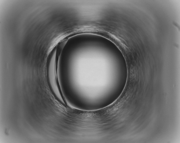 X0000098031461200804111310