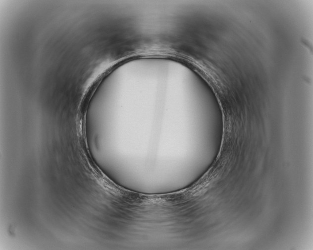 X0000098031462200804111310