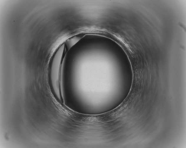 X0000098031463200804111310