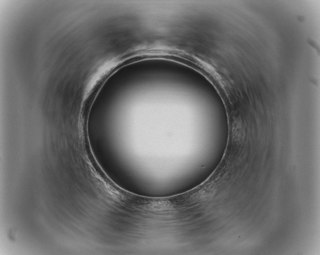 X0000098031464200804111310