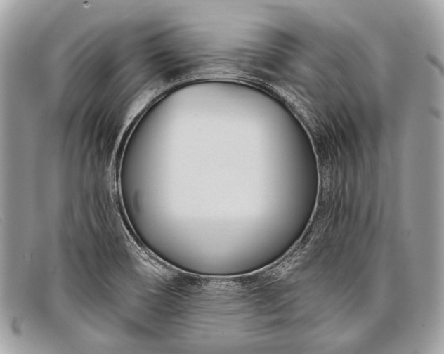 X0000098031466200804111310