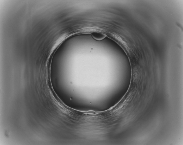 X0000098031467200804111310