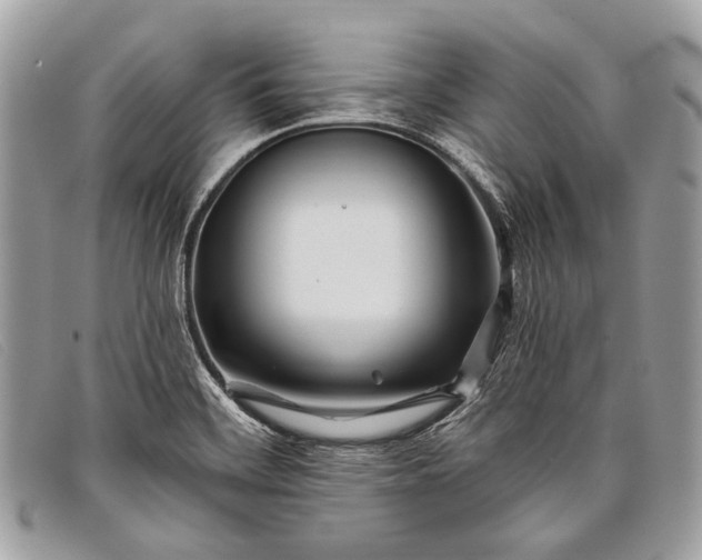 X0000098031468200804111310