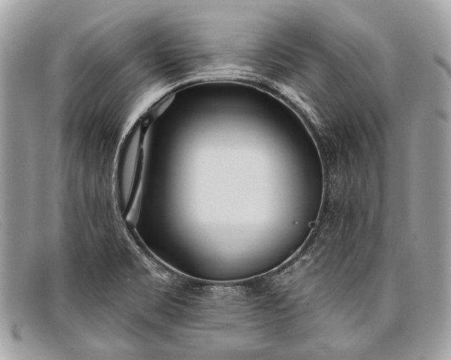 X0000098031469200804111310