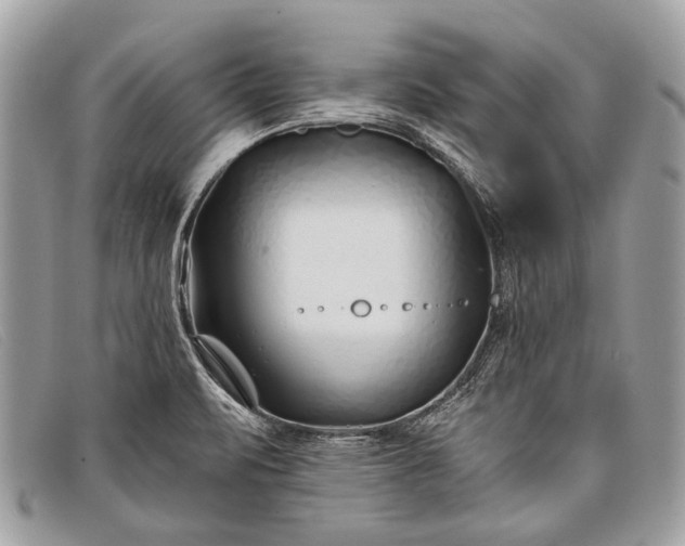 X0000098031471200804111310