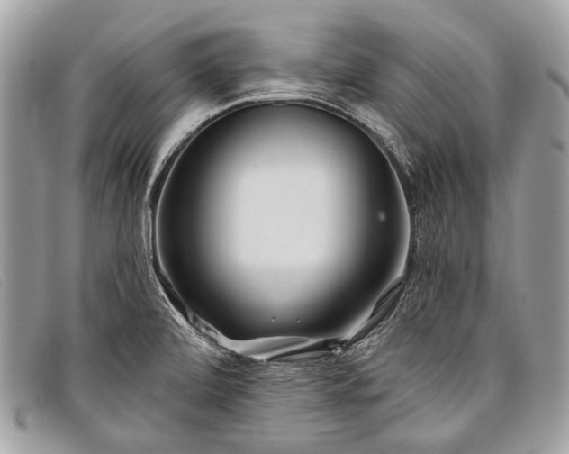 X0000098031472200804111310