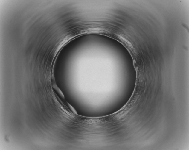 X0000098031473200804111310