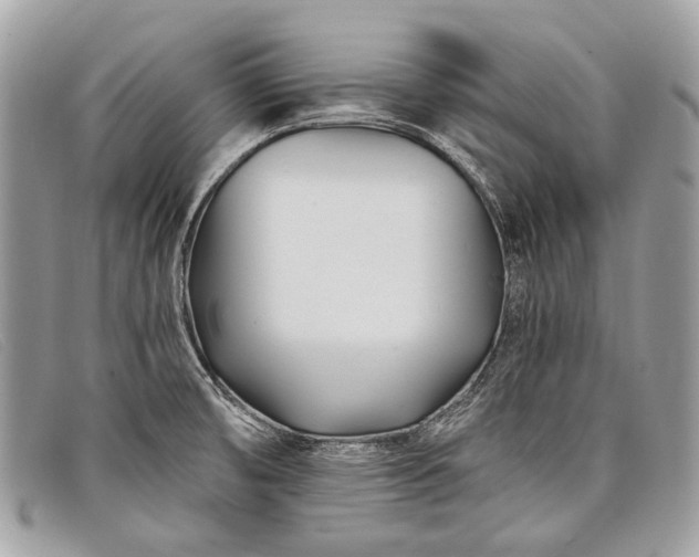 X0000098031474200804111310