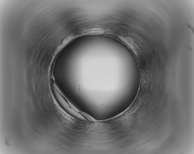 X0000098031475200804111310