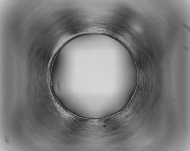 X0000098031478200804111310