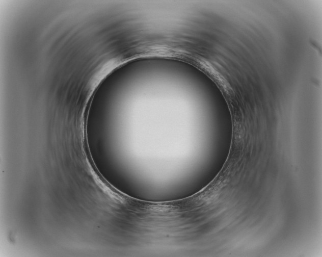 X0000098031479200804111310