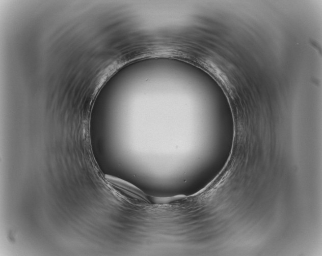 X0000098031481200804111310