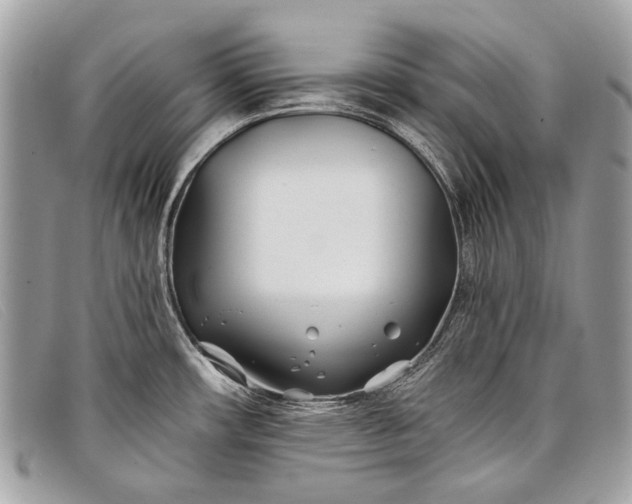 X0000098031482200804111310