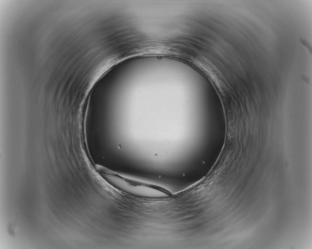 X0000098031483200804111310