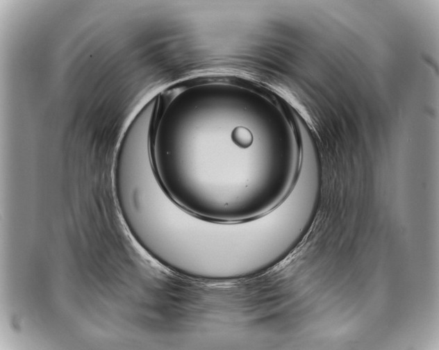 X0000098031484200804111310