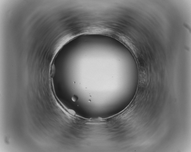 X0000098031487200804111310