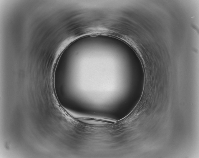 X0000098031488200804111310