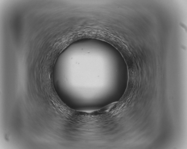 X0000098031489200804111309