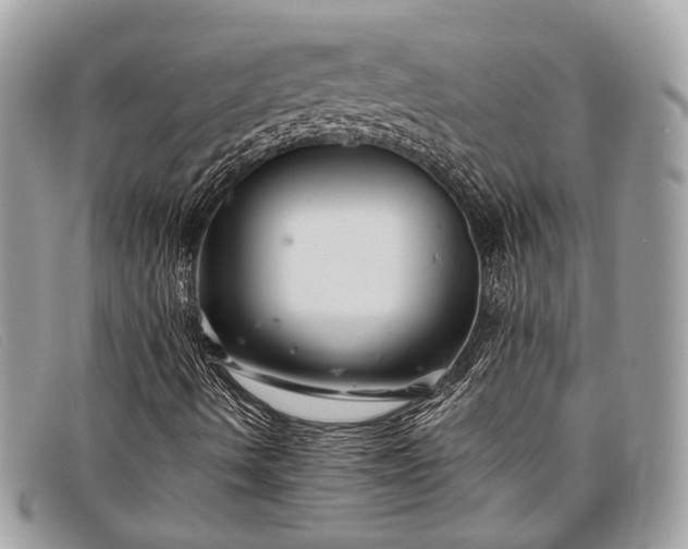 X0000098031490200804111309