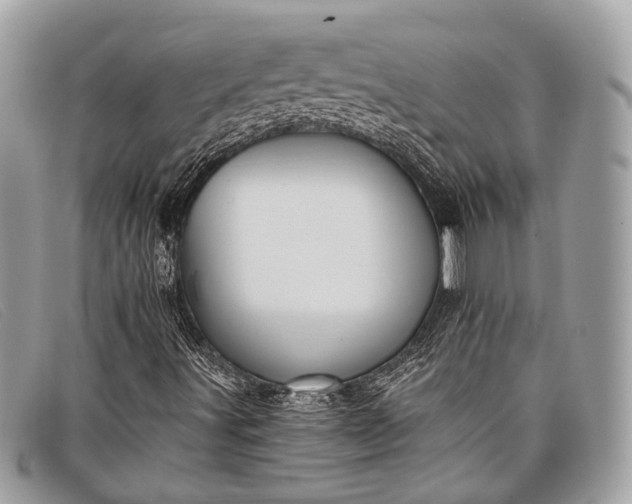 X0000098031491200804111309