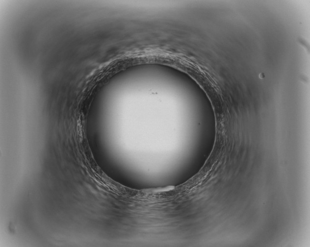 X0000098031493200804111309